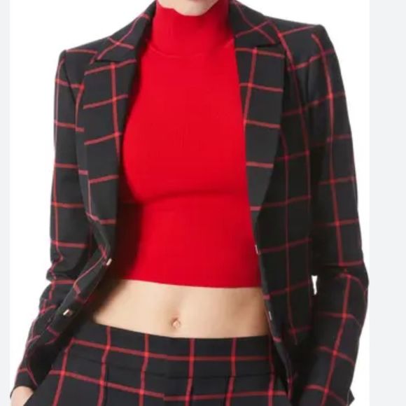 The Limited Jackets & Blazers - The Limited Navy Blue Red Windowpane Check Fitted Blazer